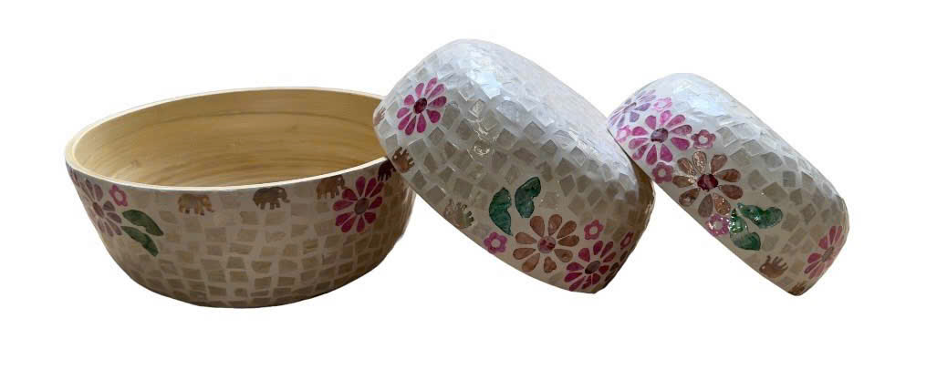 Bộ Salad VH-869608b5